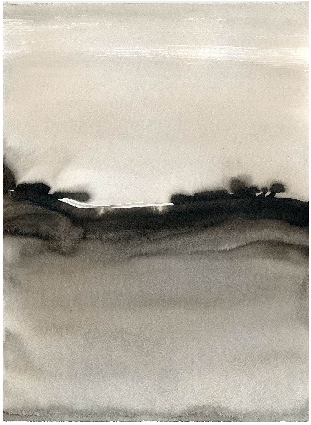 Sumajmampa El monte / The bush