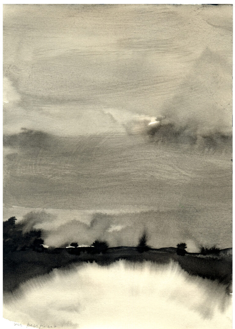 14 Precipicio 768x1074