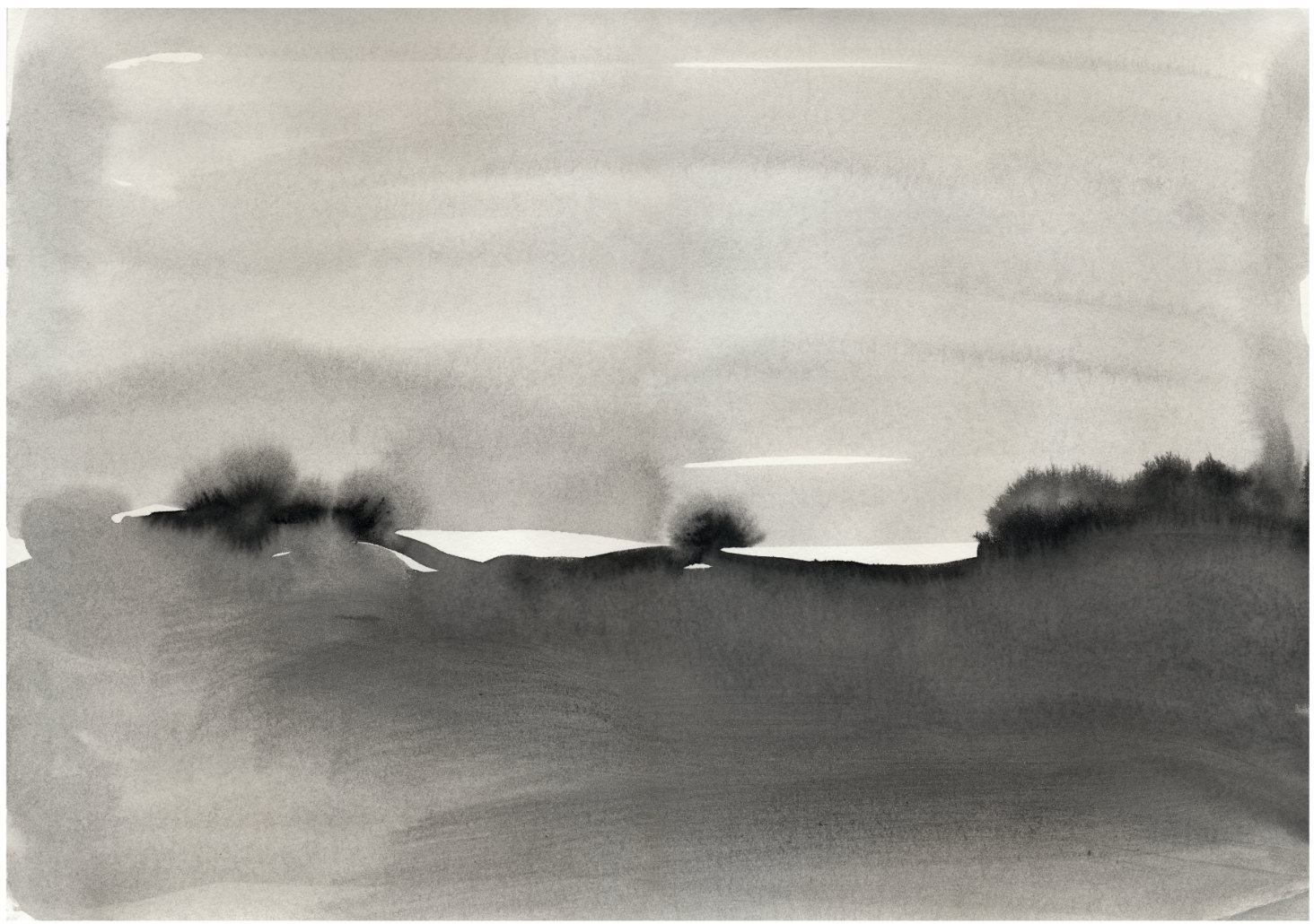 Sumajmampa el monte#2